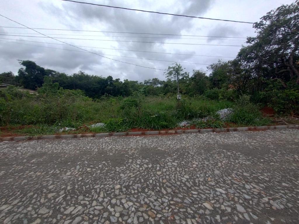 Terreno > venda > Novo Igarapé - Igarapé