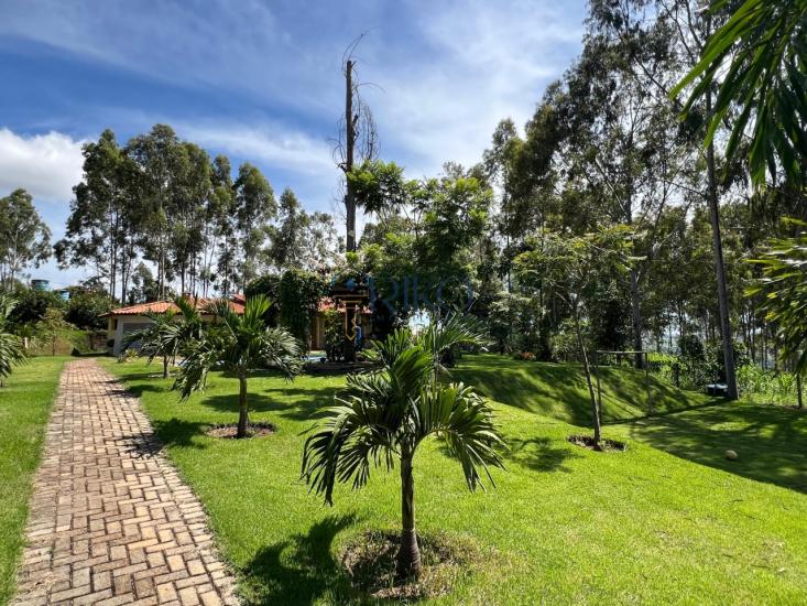 chacara-venda-serra-azul-mateus-leme-1047986