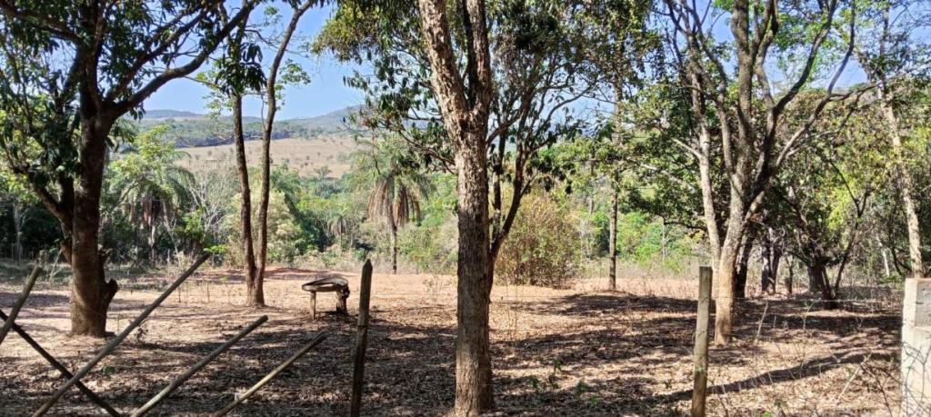 chacara-venda-satelite-juatuba-1136879