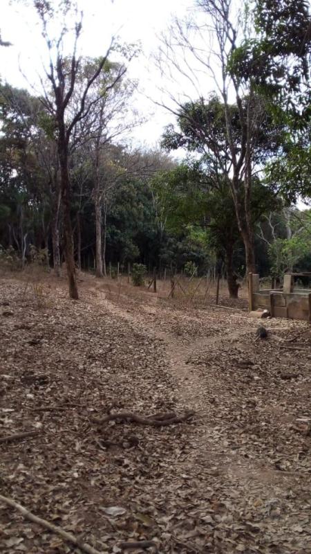 chacara-venda-satelite-juatuba-1136886