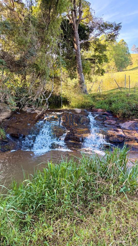 sitio-venda-mobiliado-2-hectares-casa-4-quartos-+-2-chales-capitolio-mg-a-500-metros-da-cachoeira-do-lobo-1113573