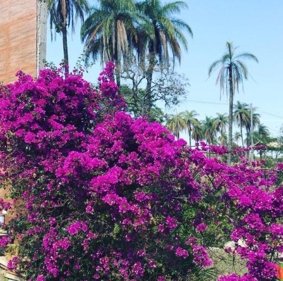 sitio-venda-jardim-recreio-alvorada-serra-negra-betim-1137185