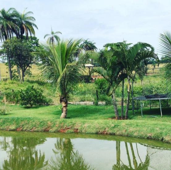 sitio-venda-jardim-recreio-alvorada-serra-negra-betim-1137174
