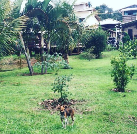 sitio-venda-jardim-recreio-alvorada-serra-negra-betim-1137179