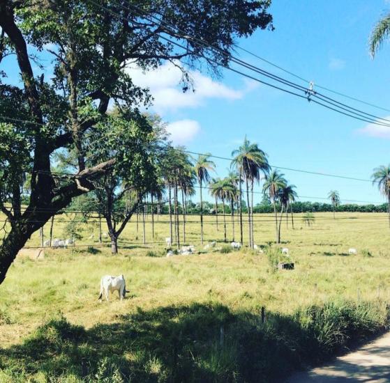sitio-venda-jardim-recreio-alvorada-serra-negra-betim-1137194