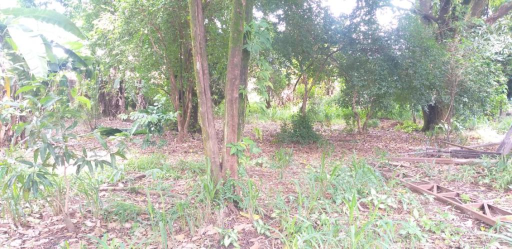 terreno-venda-dois-lotes-planos-jardim-alterosa-1o-secao-betim-1137434