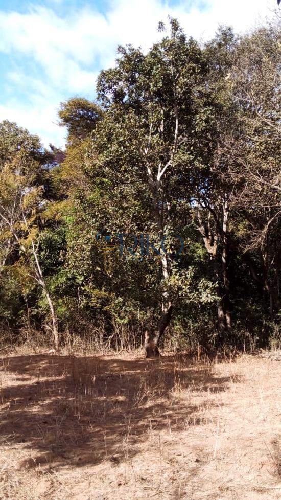 chacara-venda-satelite-juatuba-1057740