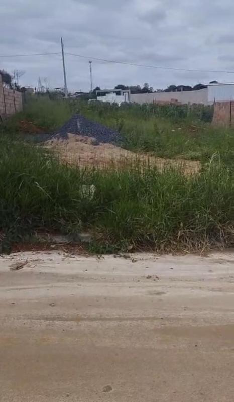lote-venda-belvedere-pimenta-mg-1139570