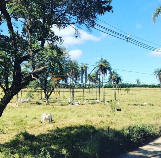 sitio-venda-jardim-recreio-alvorada-serra-negra-betim-1045316