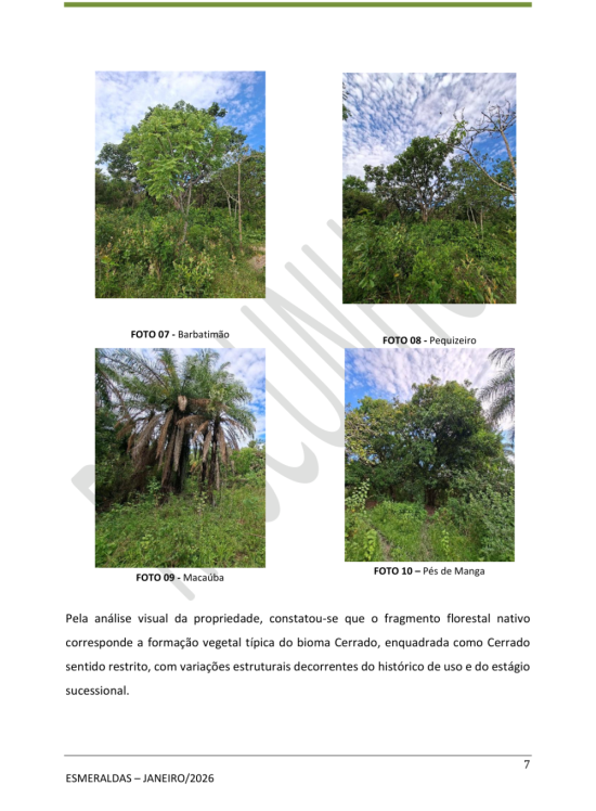 area-venda-para-empreendimentos-esmeraldas-1133076
