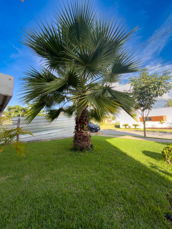 casa-em-condominio-venda-gran-royalle-betim-1133991